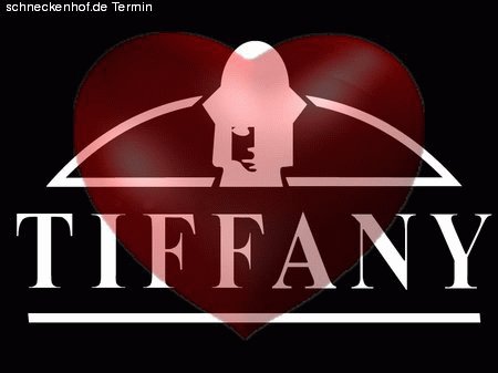 South Asia Charity Night Werbeplakat