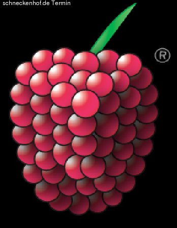 HimbeerParty  Werbeplakat