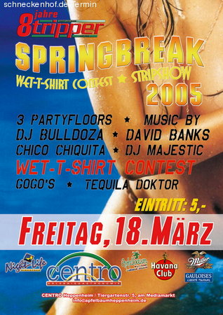 Spring Break Party & Geb.! Werbeplakat