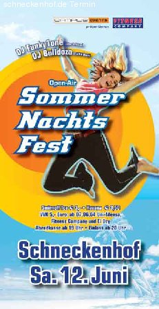 Sommernachtsfest Werbeplakat